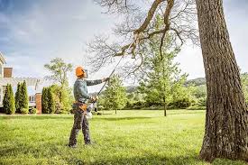 Lagrange, GA Tree Services Company