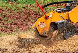 Best Lawn Pest Prevention  in Lagrange, GA