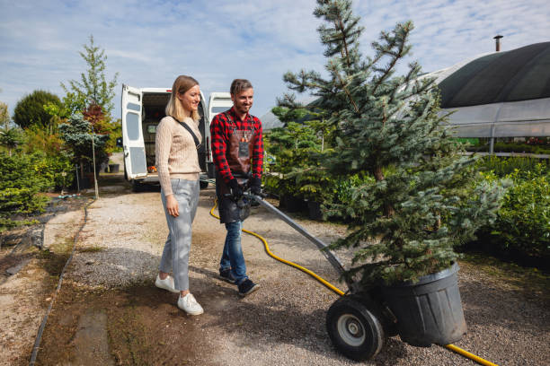 Best Tree Risk Assessment  in Lagrange, GA